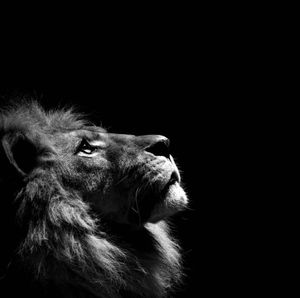 Meet your Posher, Deanie